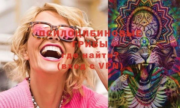 марки lsd Богородицк