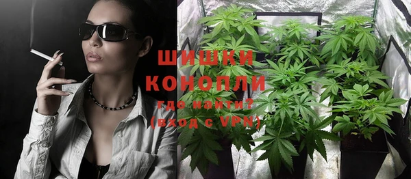 прущие грибы Богородск