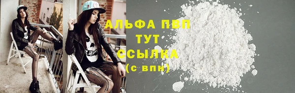 прущие грибы Богородск
